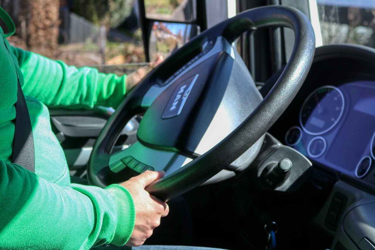 Close-up van een rijbewijs met zichtbare veldnummers en documentnummer op de voorkant